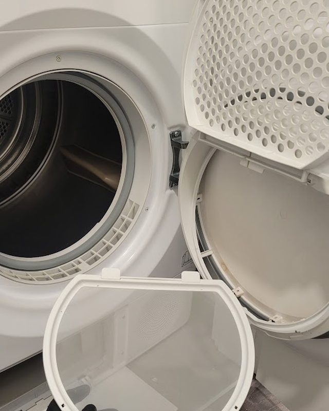 Dryer door filter housing and lint filter after cleaning
