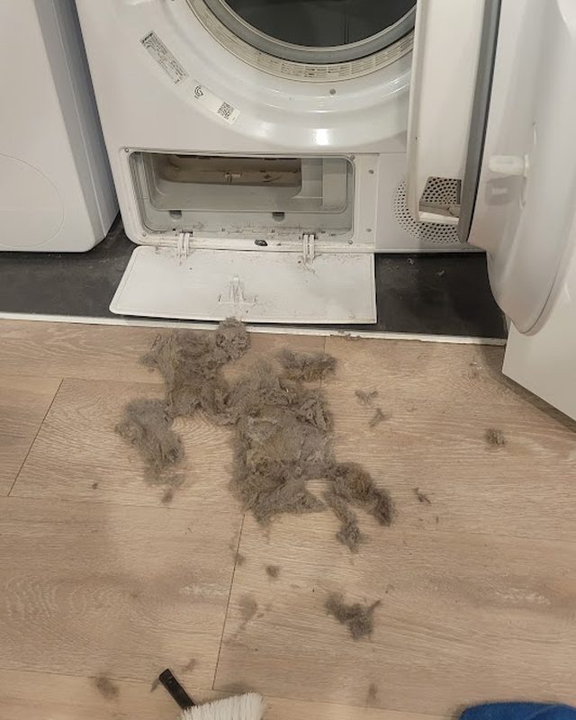 Pile of lint removed from a dryer, on the floor next to the machine