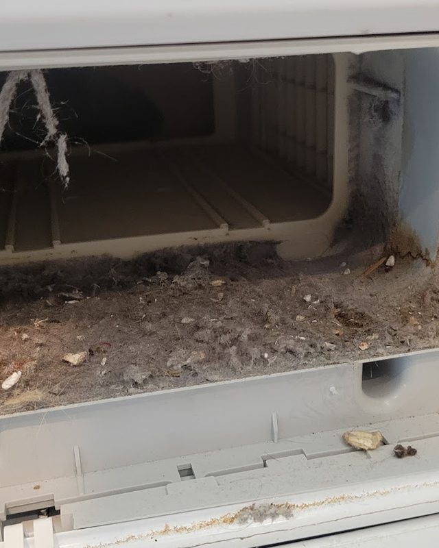Dryer condenser compartment before: packed with lint, debris and residue