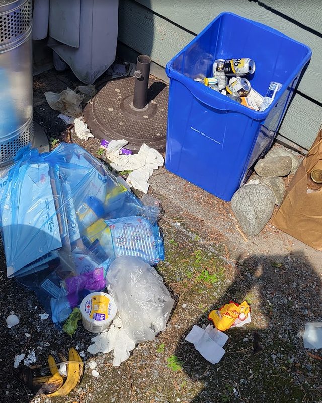 Patio corner before: garbage and litter on the ground